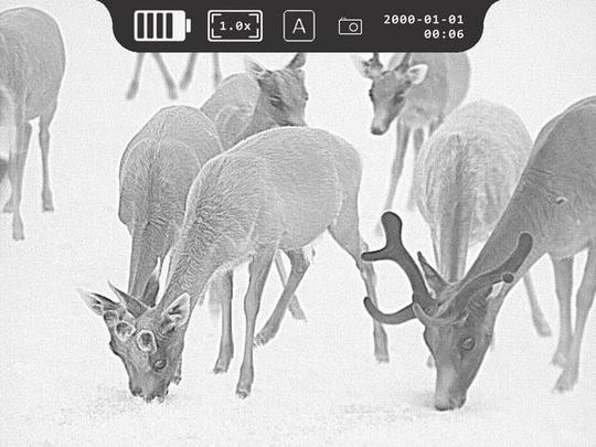 HEIMDALL THERMAL FOKUS  UNI BOX-KOFFER  ORANGE Art.Nr. 202108