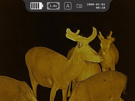 HEIMDALL FOKUS F35 Thermal 2in1 - 2.0 Wärmebildkamera-Vorsatzgerät Art. Nr. 202135 / F 35 Geräte Lieferung auf Anfrage