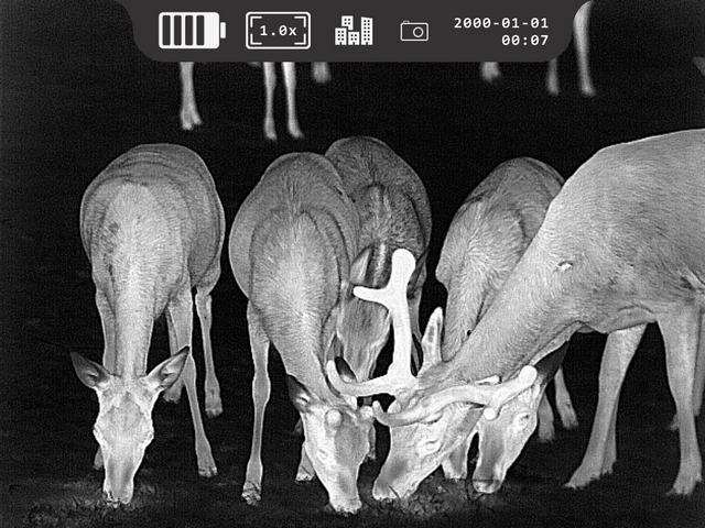 HEIMDALL FOKUS F35 Thermal 2in1 - 2.0 Wärmebildkamera-Vorsatzgerät Art. Nr. 202135 / F 35 Geräte Lieferung auf Anfrage